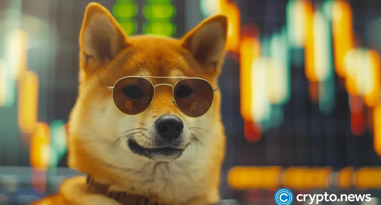 BABYDOGE surges 120% in 10 days, further gains or correction ahead?