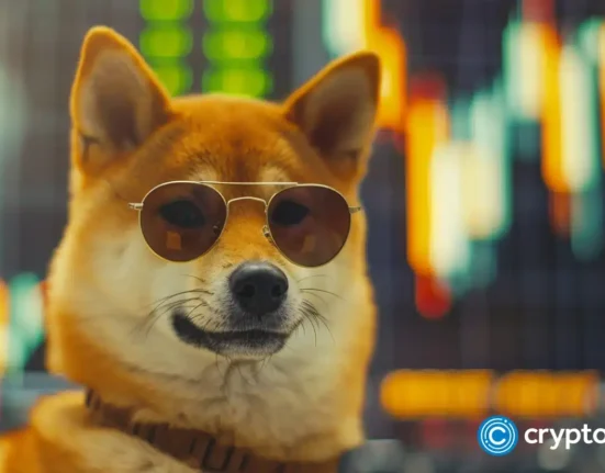 BABYDOGE surges 120% in 10 days, further gains or correction ahead?