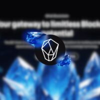 BST Chain Coin Review: Is This The Next Big Layer 1?