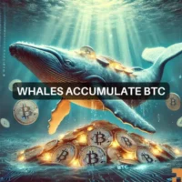 BTC whales accumulate 2814 Bitcoins worth $157.3 million