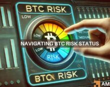 Bitcoin's risk dynamics: Safe haven or speculative bet?