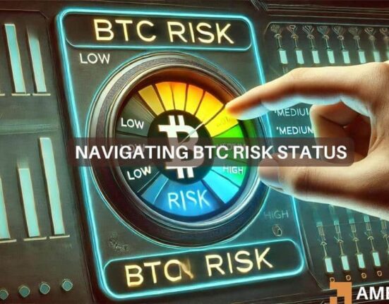 Bitcoin's risk dynamics: Safe haven or speculative bet?