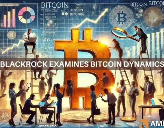 BlackRock's Bitcoin whitepaper explains - BTC is not a...