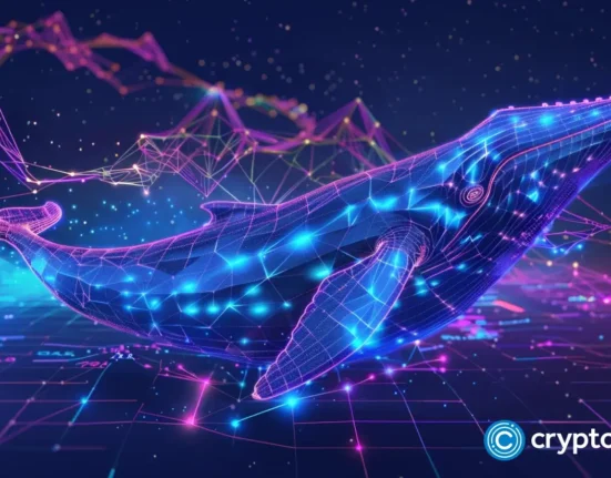 Clock ticking for DTX stage 3 as $2.8m raised from TON, XRP whales