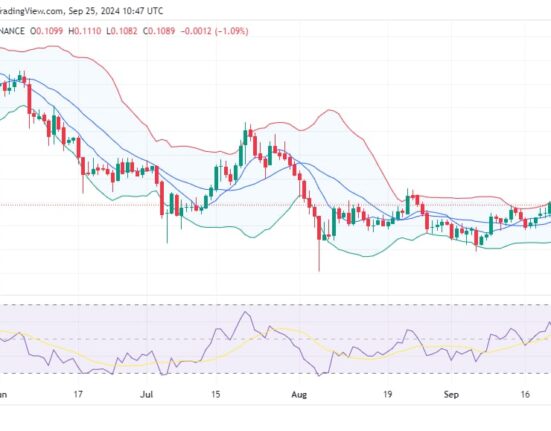 Dogecoin price prediction 2024-2030: DOGE to the moon?