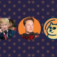 Elon Musk supports Trump and Dogecoin via his Department of Govt Efficiency