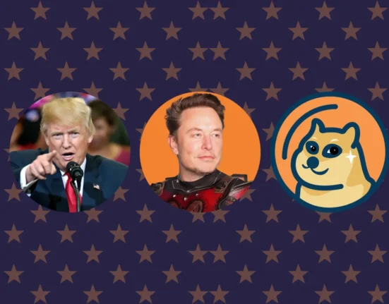 Elon Musk supports Trump and Dogecoin via his Department of Govt Efficiency