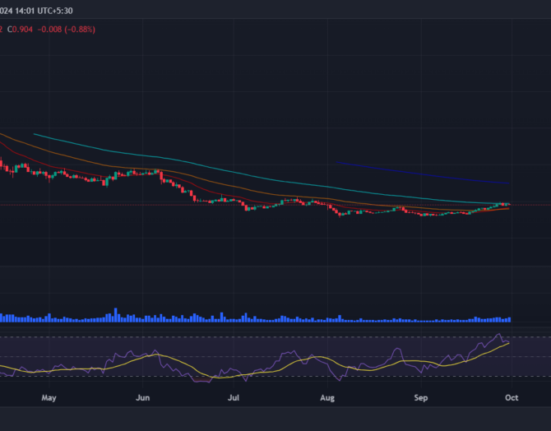 MANTA price prediction 2024-2030: Will Manta Network survive or crash?