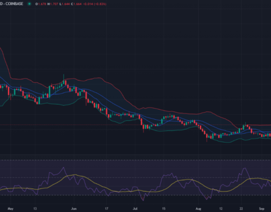 SNX price prediction 2024-2030: Is SNX a good investment?