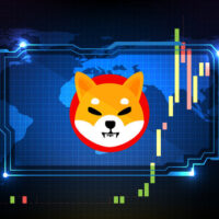 Shiba Inu