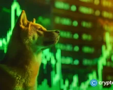 Memebet token benefits from Shiba Inu rally as it raises $300k in presale