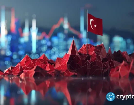 Turkey decides against taxing crypto profits this year