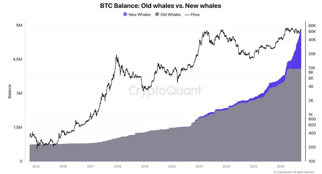 Old Bitcoin whales vs. new whales |