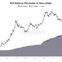 Old Bitcoin whales vs. new whales |