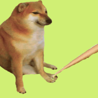 BONK