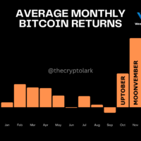 BTC Options activity is heating up as Uptober and US elections nears