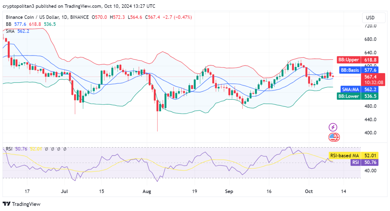 Binance coin price prediction 2024-2030: Is BNB ready for the bull run?