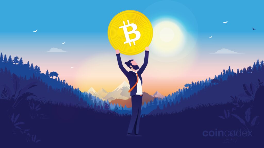 Bitcoin Rich List: Biggest BTC Holders in 2024