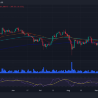 Bitcoin price prediction 2024-2030: Will BTC price surpass $100K post-halving?