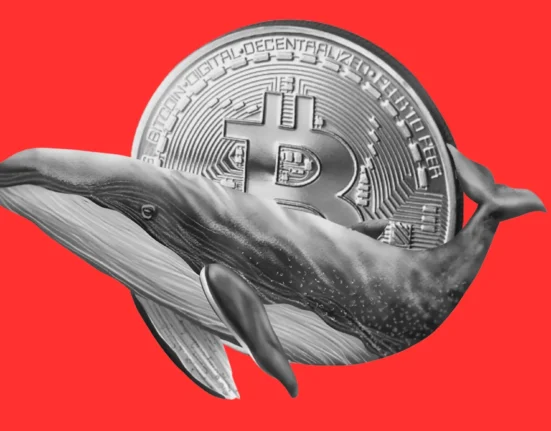 Bitcoin whale with 10,158 BTC scoops up more coins despite losing $46 million