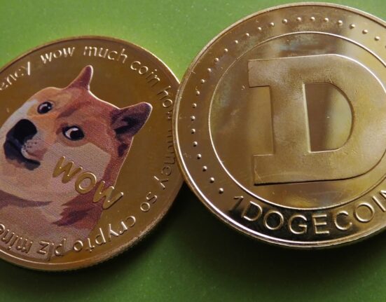 Dogecoin Active Addresses Skyrocket To Highest Level In 8 Months