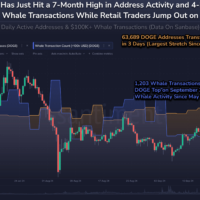 Dogecoin whale activity