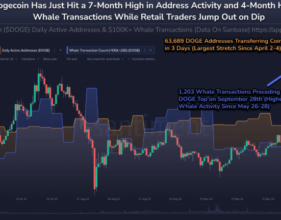 Dogecoin whale activity