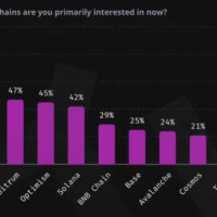 Ethereum reigns as top choice for whitehat hackers, but new contenders are rising