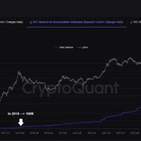 Bitcoin accumulation addresses.