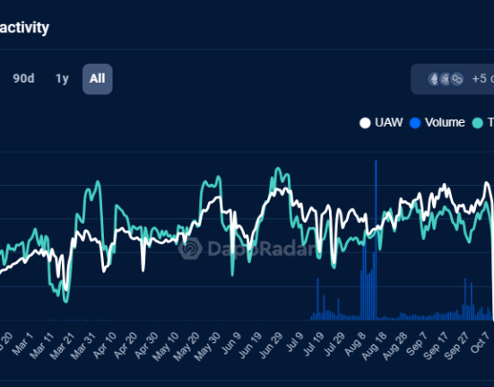 Hot Protocol grew its activity in 2024, based on the expectations of a HOT token airdrop.