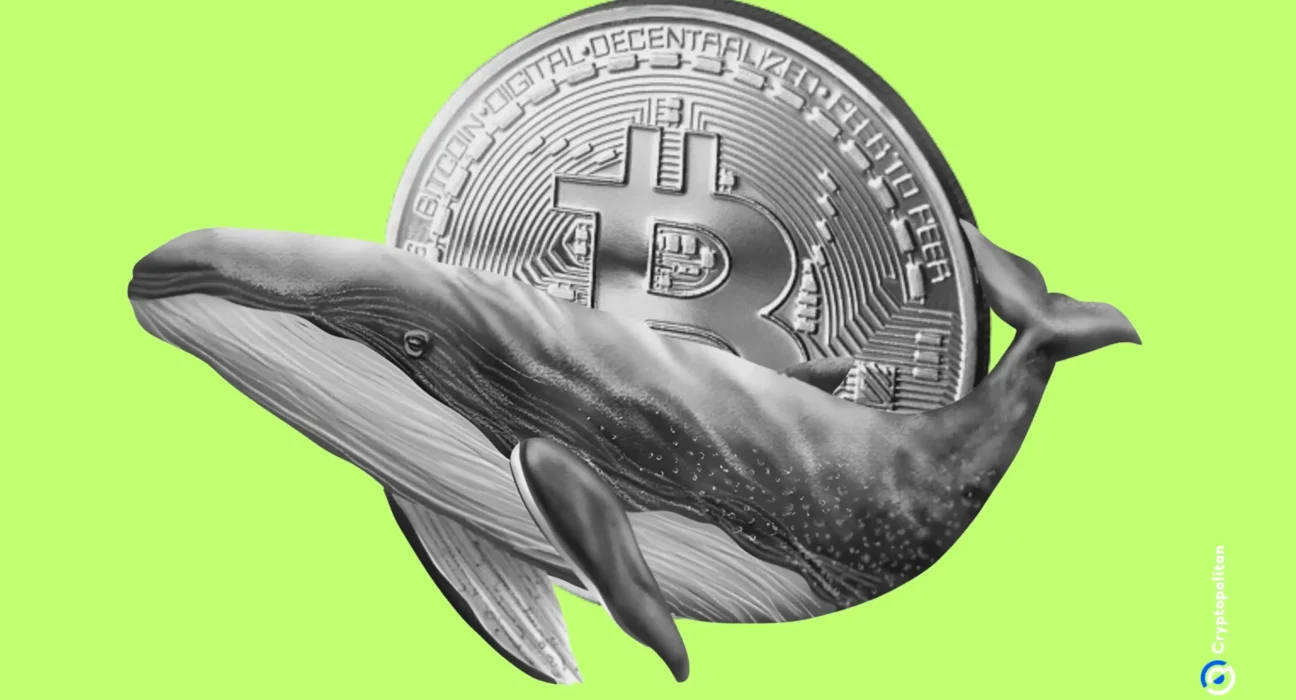 New whale wallets now hold nearly 2M Bitcoin, up 813% YTD