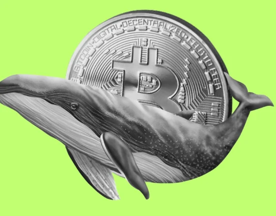 New whale wallets now hold nearly 2M Bitcoin, up 813% YTD