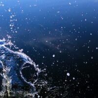 SUI Eyes Bullish Breakout As Crypto Traders Go Long Above $2, What’s Next?