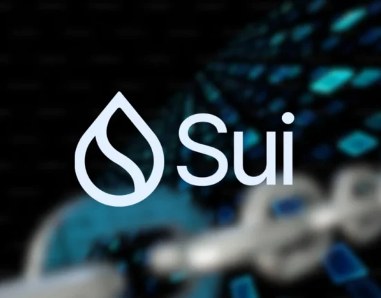 Sui claims it resolved a major security issue affecting every blockchain