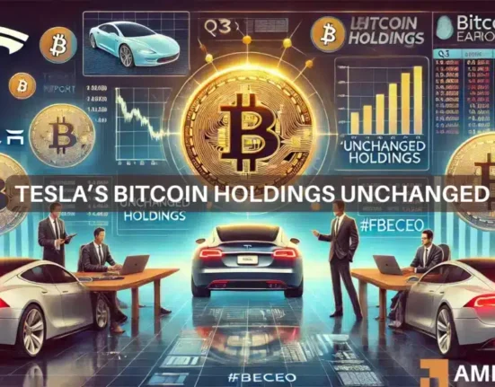 Tesla Bitcoin holdings remain unchanged, Q3 earnings report reveals