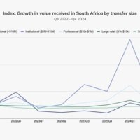 TradFi, Institutional Investors are spurring South Africa