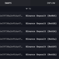 A wallet that received funds from the US Government Bitfinex Hack addresses then sent funds to Binance.