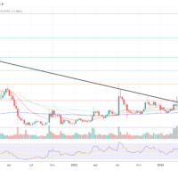 XRP price