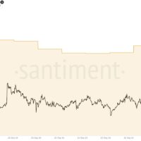 XRP Whales