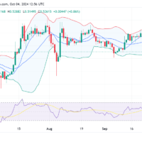 XRP price prediction 2024-2030: Will XRP reach $1?