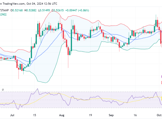 XRP price prediction 2024-2030: Will XRP reach $1?