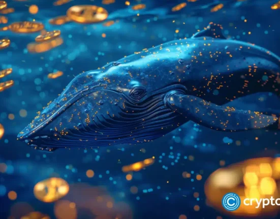 Crypto whales stockpile these 3 altcoins before the next bull run