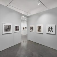 Exploring Kinship in Art: Irving Penn: Kinship at Pace Gallery, Curated by Hank Willis Thomas | NFT CULTURE | NFT News | Web3 Culture