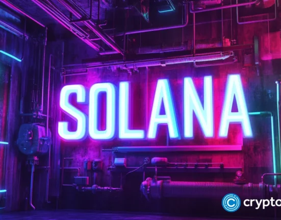 Solana is the fastest growing for new crypto developers